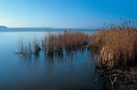 PARC NARBONNAISE EN MEDITERRANEE