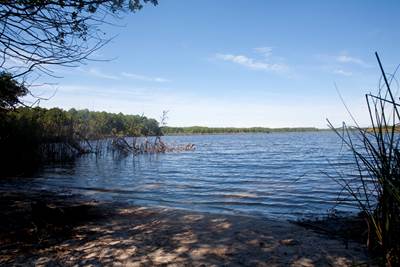 Photo Etang de Cousseau