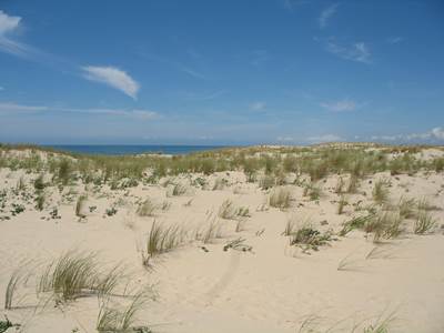 dunes