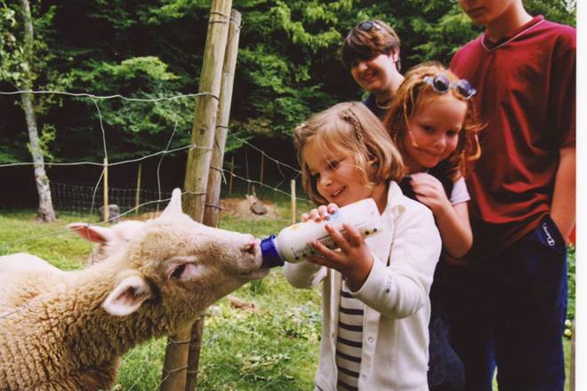 Image0002