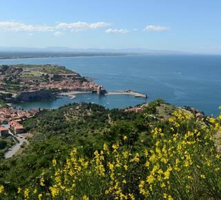THE COLLIOURE TOPS